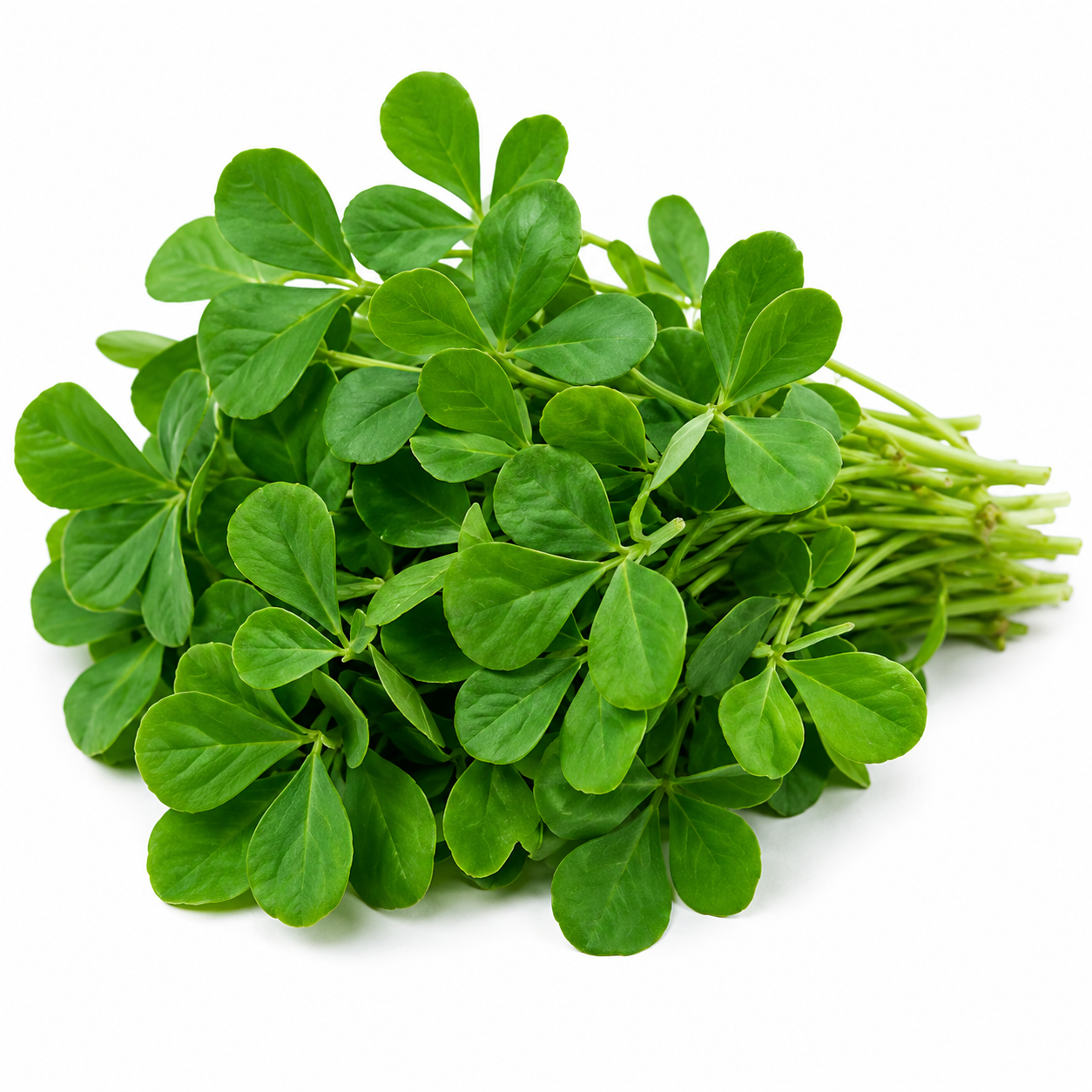 Kasturi Methi