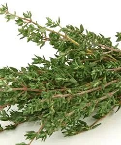 Fresh Thyme